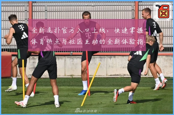 全新虎扑官方入口上线，快速掌握体育热点与社区互动的全新体验指南