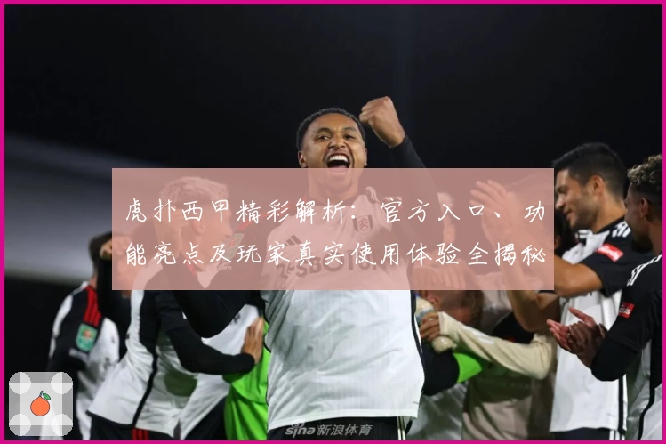 虎扑西甲精彩解析：官方入口、功能亮点及玩家真实使用体验全揭秘